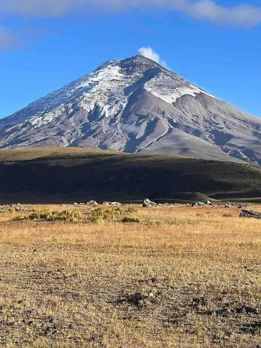 Apartmán Qorner Studio De Lujo En Zona Privilegiada! Quito Ekvádor